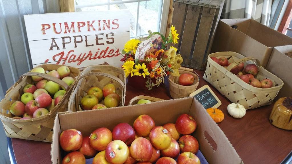 The Purple Hull | restaurant | 10298 Atomic Rd B, North Augusta, SC 29841, USA | 8034745970 OR +1 803-474-5970