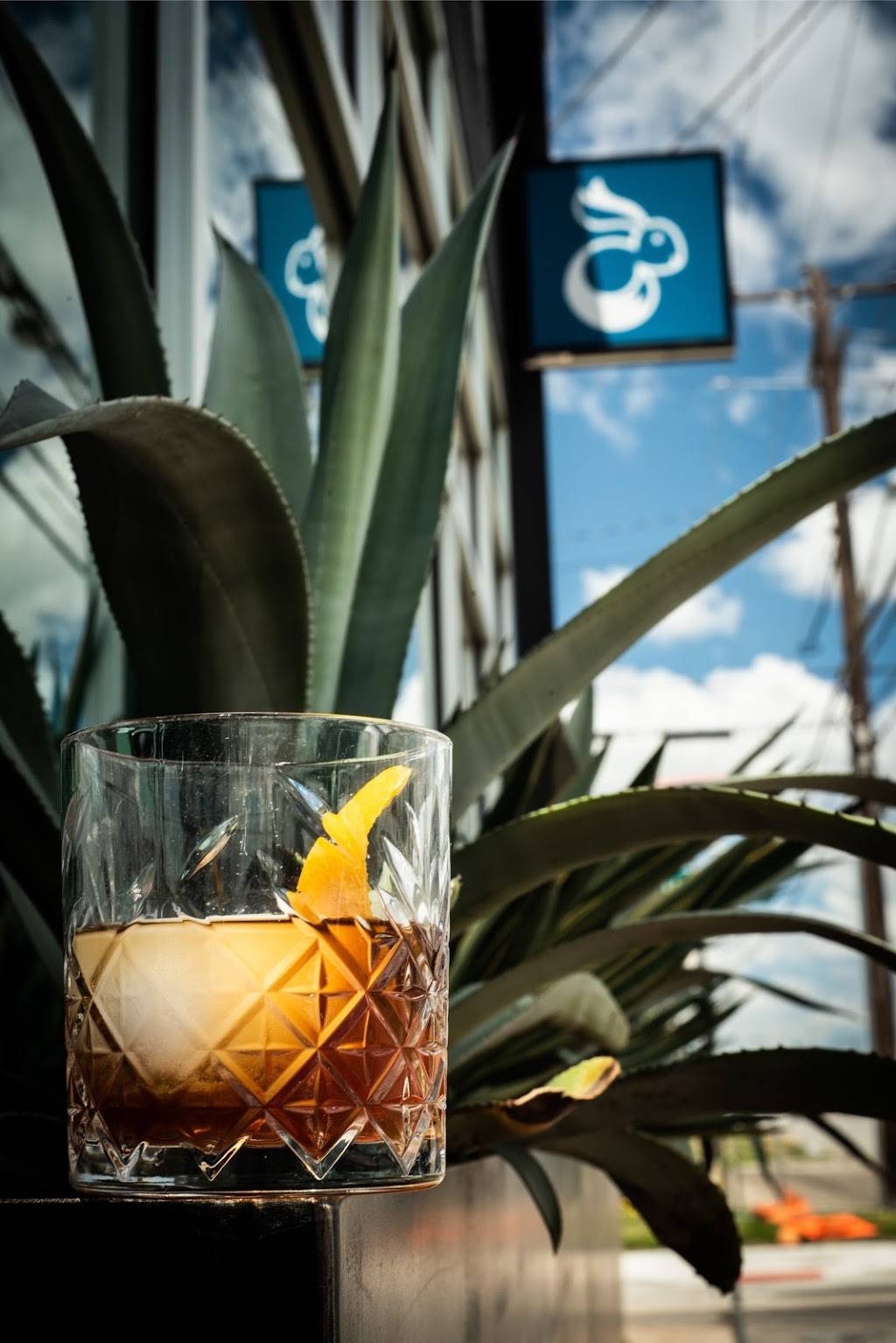 Foxyco | restaurant | 921 N Riverfront Blvd #300, Dallas, TX 75207, USA | 2142955532 OR +1 214-295-5532