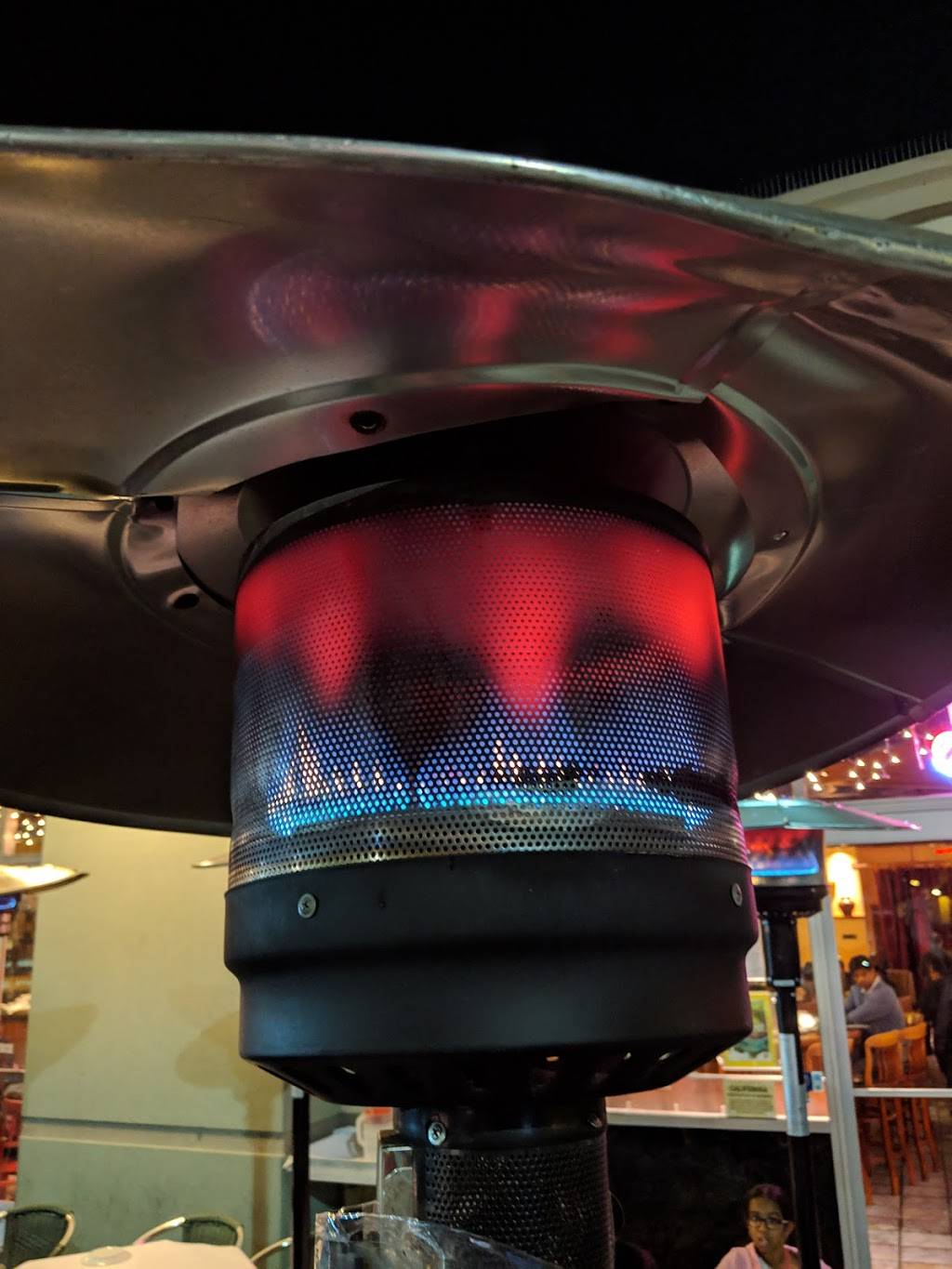 Konaseema xpress | restaurant | 131 Ranch Dr, Milpitas, CA 95035, USA | 4089349609 OR +1 408-934-9609