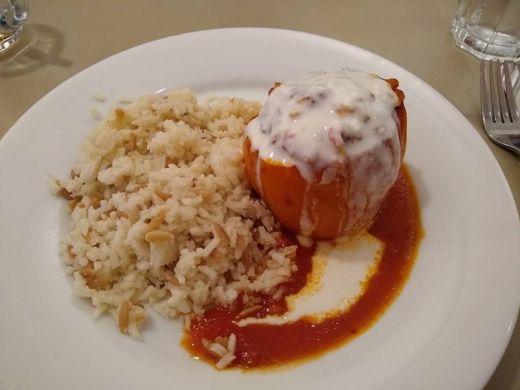 Ayses | Turkish Cafe | restaurant | 1703 Plymouth Rd, Ann Arbor, MI 48105, USA | 7346621711 OR +1 734-662-1711