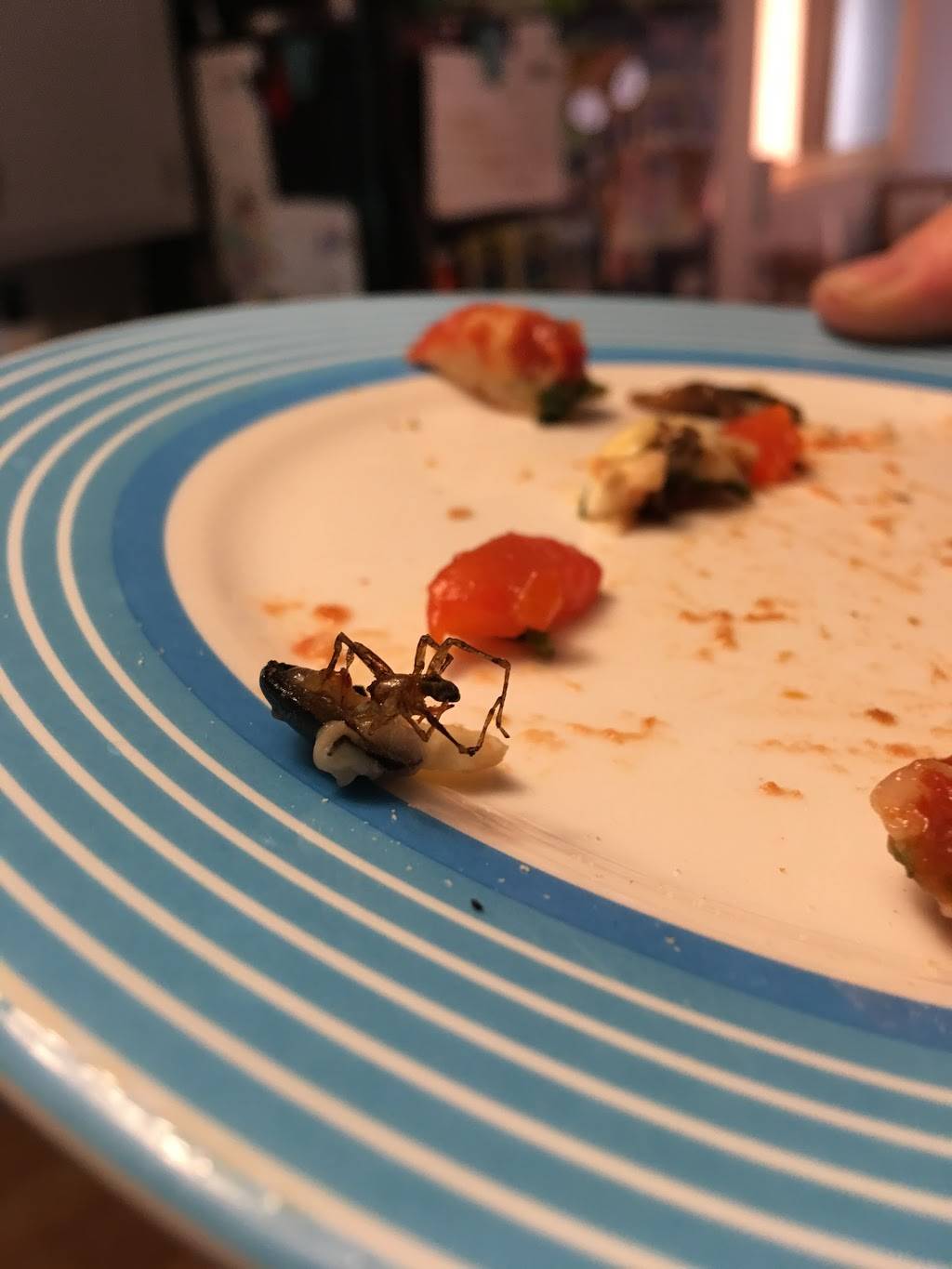 Dominos Pizza | meal delivery | 9723 Lyndale Ave S, Bloomington, MN 55420, USA | 9528884442 OR +1 952-888-4442