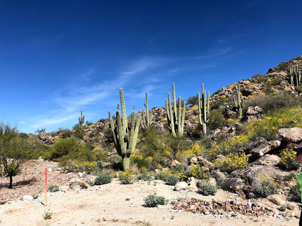 The Stone Canyon Club | restaurant | 14320 Hohokam Village Pl, Oro Valley, AZ 85755, USA | 5202191500 OR +1 520-219-1500