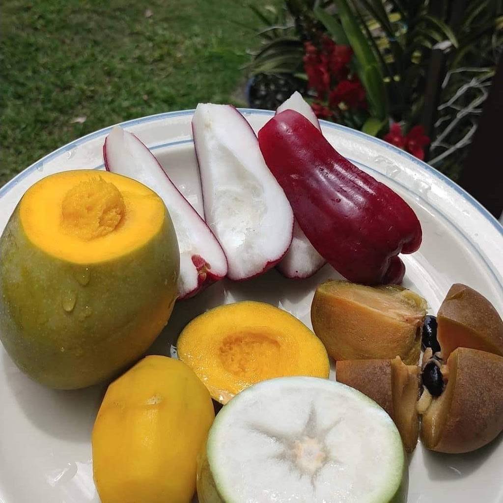 Jahnets Jamaican Cuisine | restaurant | 3810 S State Rd 7 Unit E, Miramar, FL 33023, USA | 9542572828 OR +1 954-257-2828