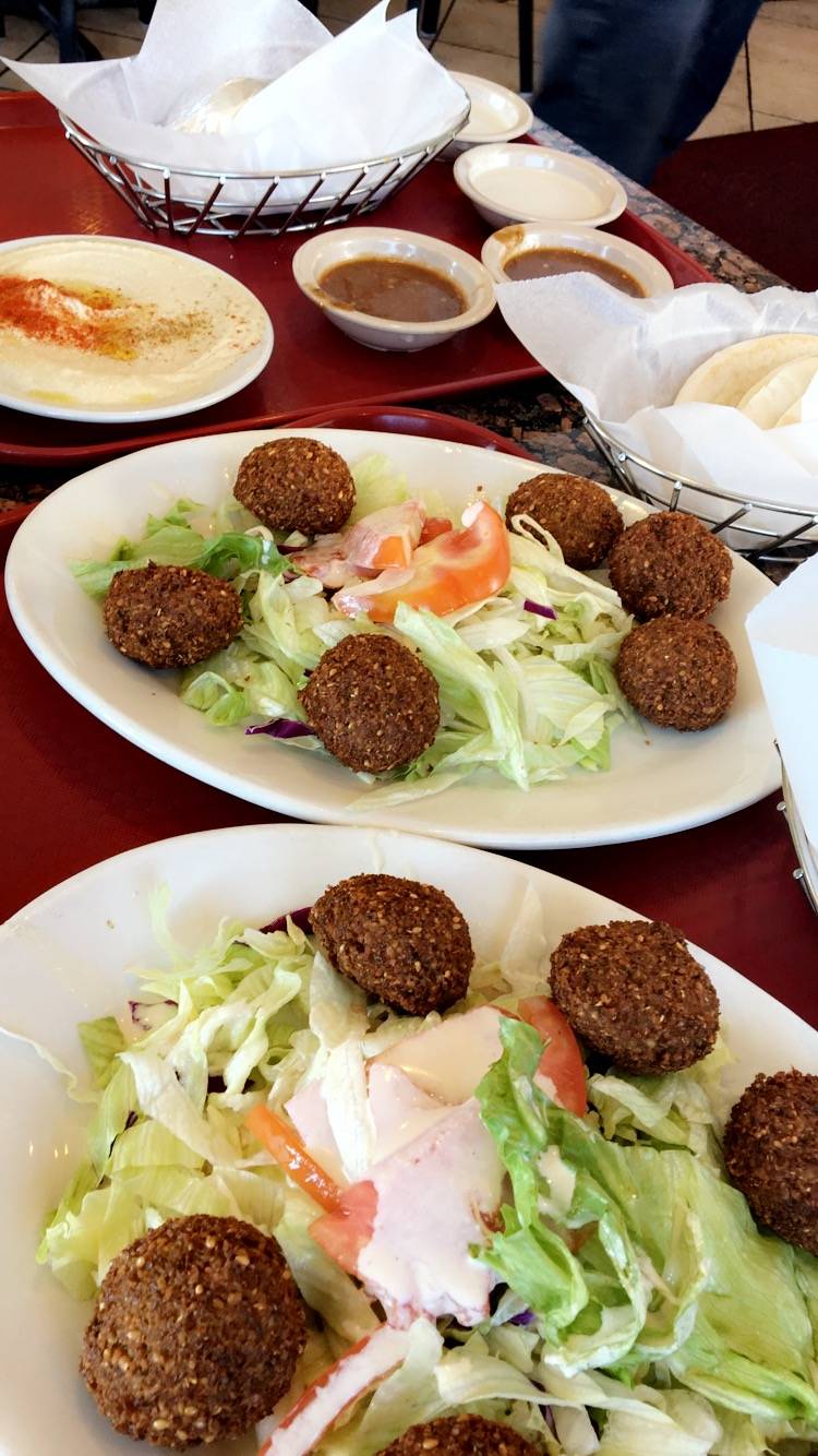 Pita Inn | restaurant | 9854 N Milwaukee Ave, Des Plaines, IL 60016, USA | 8477599990 OR +1 847-759-9990