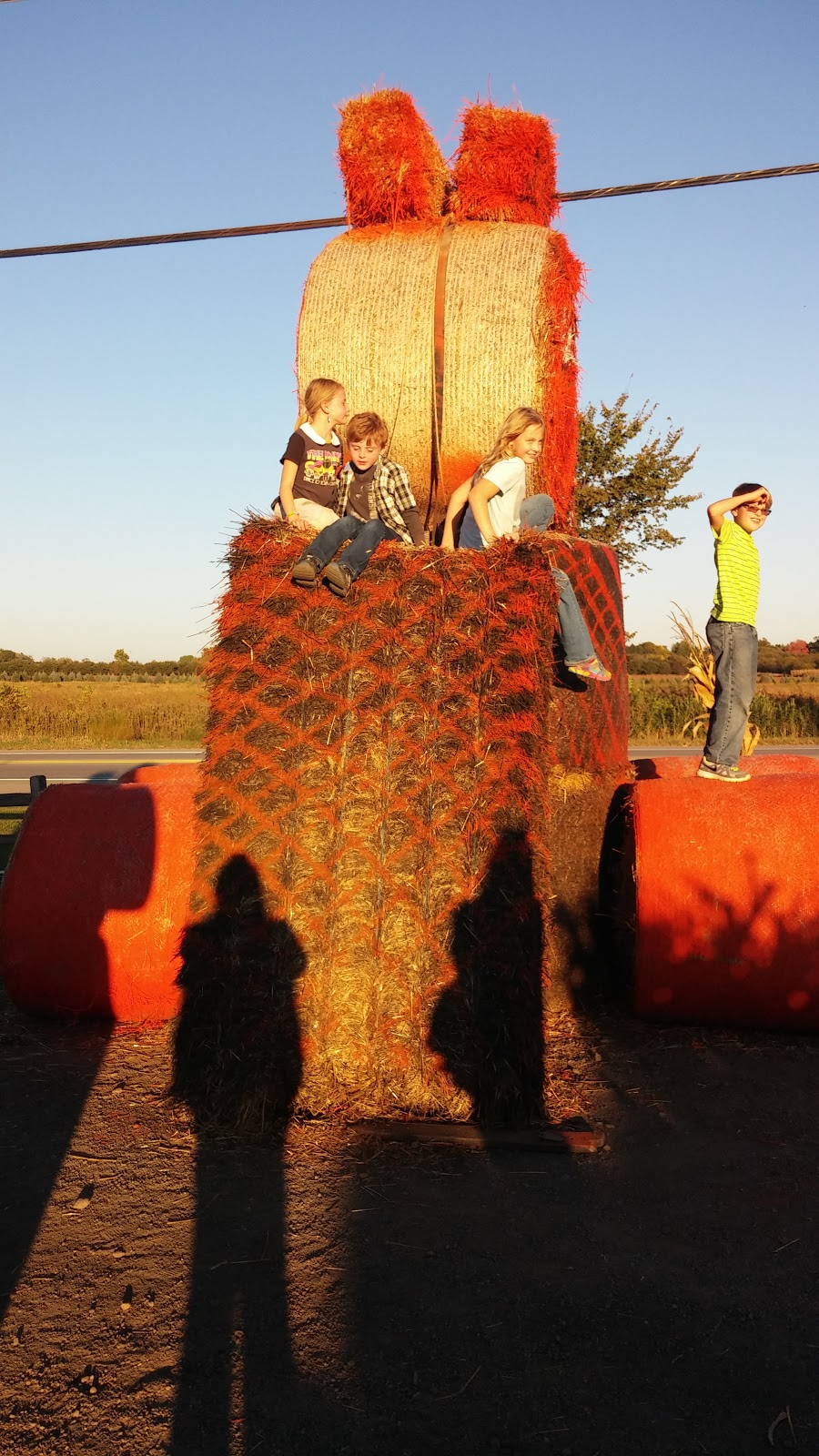 Blakes Backyard Almont | bakery | 5600 Van Dyke Rd, Almont, MI 48003, USA | 8107983251 OR +1 810-798-3251