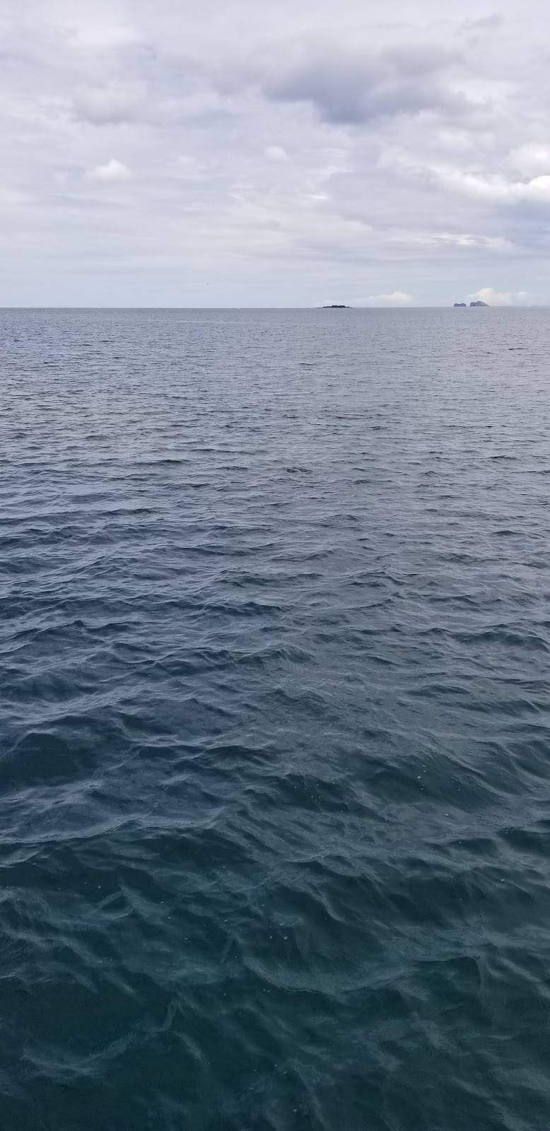 Bambinos Pizza and Wings | meal delivery | 23 W Main St, West Jefferson, OH 43162, USA | 6148799999 OR +1 614-879-9999