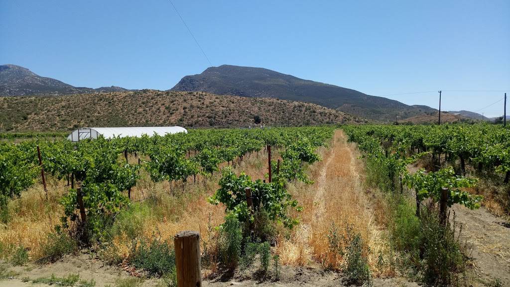 La Casa de Doña Lupe | restaurant | Parcela 72-92 Rancho La Gotita S/n, 22750 Valle de Guadalupe, B.C., Mexico | 016461241640 OR +52 646 124 1640