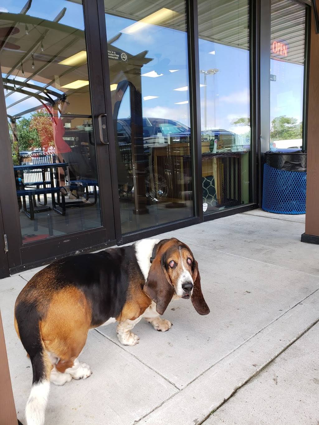 JJs Cafe | cafe | 1820 Colorado St, Rockport, TX 78382, USA | 3614501680 OR +1 361-450-1680