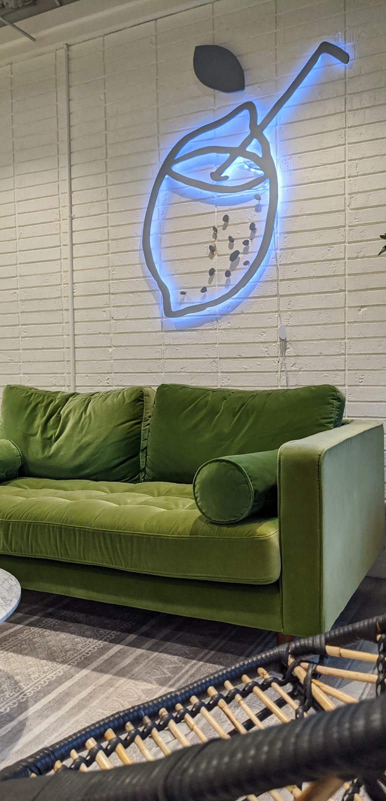 The Daily Squeeze Juice and Smoothie Bar | cafe | 901 N 12th Ave, Pensacola, FL 32501, USA | 8507413077 OR +1 850-741-3077