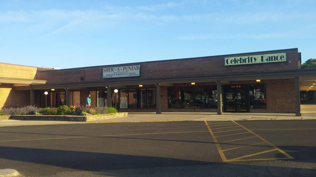 Sher A Punjab | restaurant | 2113 63rd St, Downers Grove, IL 60516, USA | 6309718300 OR +1 630-971-8300