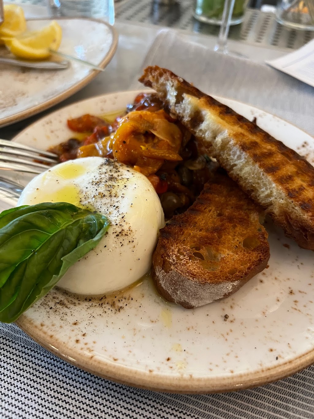 Scala Osteria & Bar | restaurant | 1141 1st St, Napa, CA 94559, USA | 7076374380 OR +1 707-637-4380