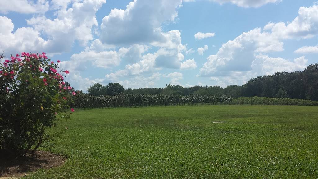 DelMonaco Winery & Vineyards | restaurant | 600 Lance Dr, Baxter, TN 38544, USA | 9318581177 OR +1 931-858-1177