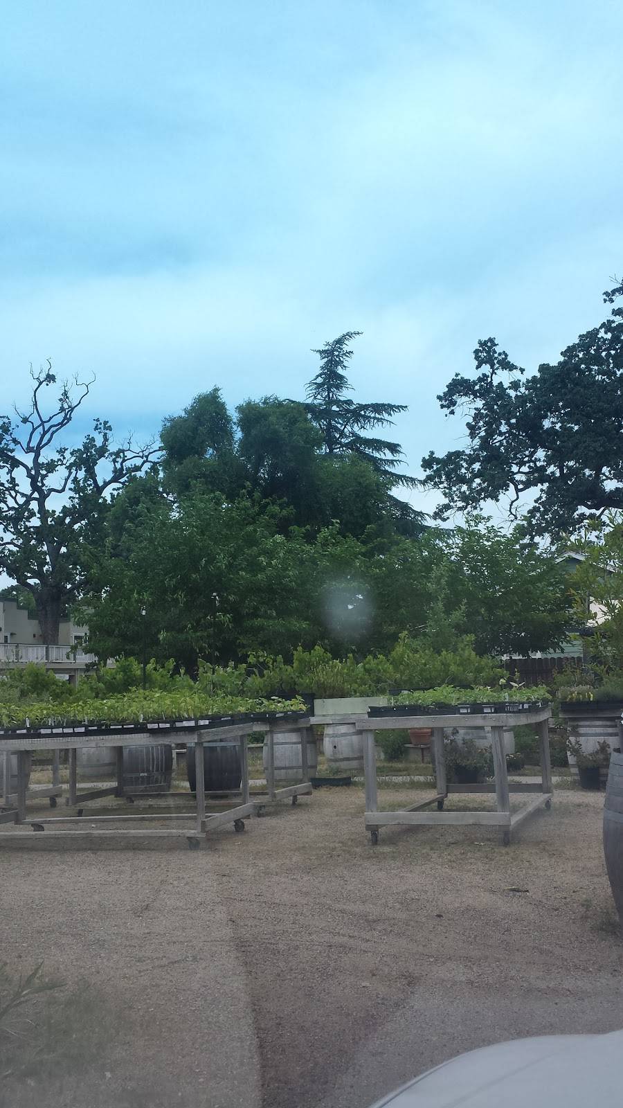 Natures Touch Nursery & Harvest | restaurant | 225 S Main St, Templeton, CA 93465, USA | 8057123478 OR +1 805-712-3478