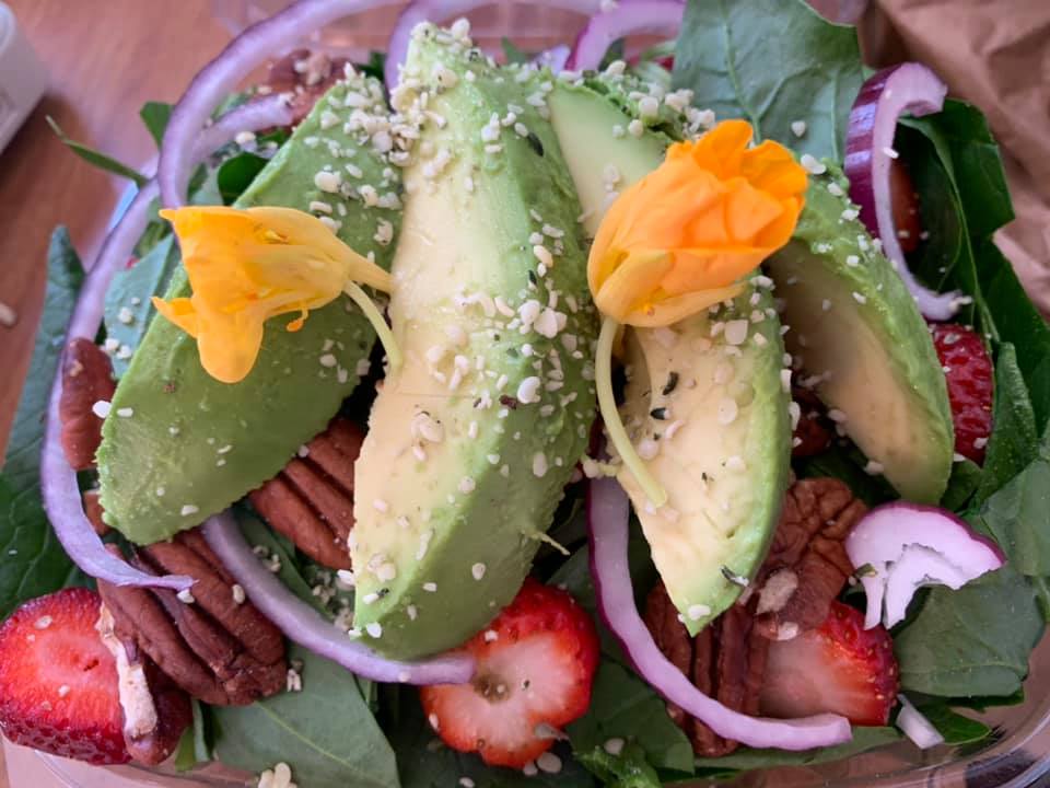 GAIAS PLANT-BASED KITCHEN | restaurant | 39 Burbank Ave, Brunswick, ME 04011, USA | 2076506236 OR +1 207-650-6236