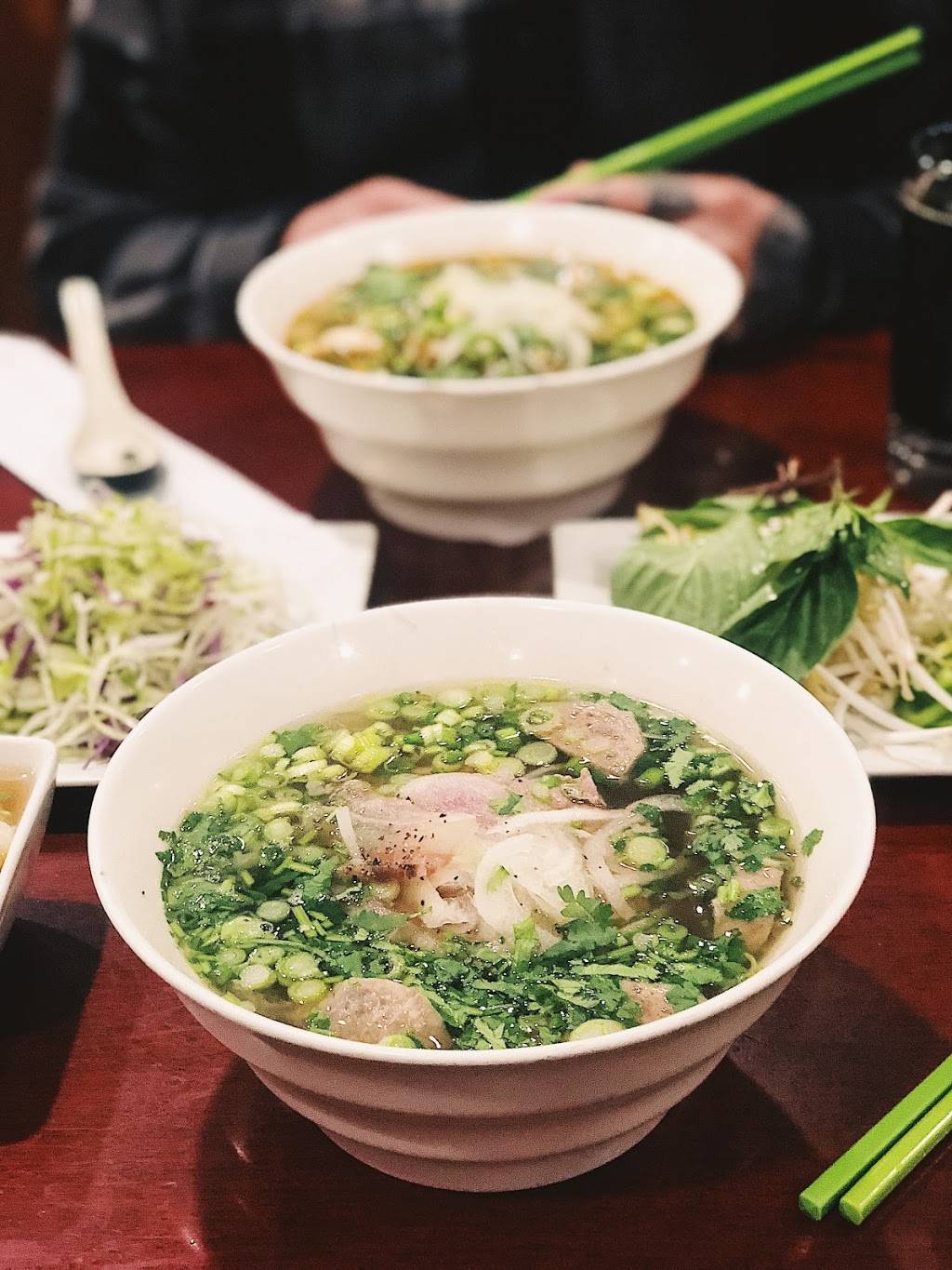 Pho Chi | restaurant | 20 Montgomery Village Ave, Gaithersburg, MD 20879, USA | 3012088018 OR +1 301-208-8018