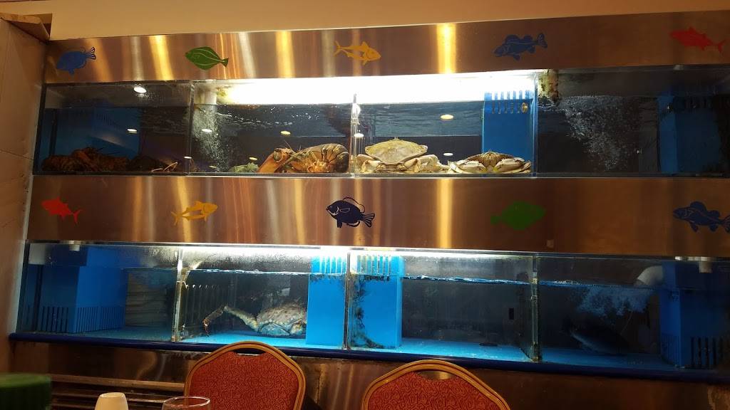 Mang Tang Hung | restaurant | 6508 11th Ave, Brooklyn, NY 11219, USA | 7188336663 OR +1 718-833-6663