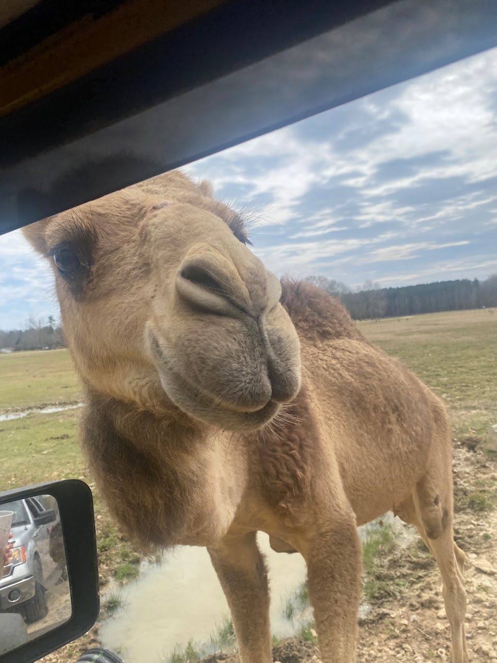 McClain Resort | restaurant | 874 Holly Bush Rd, Brandon, MS 39047, USA | 6018291101 OR +1 601-829-1101