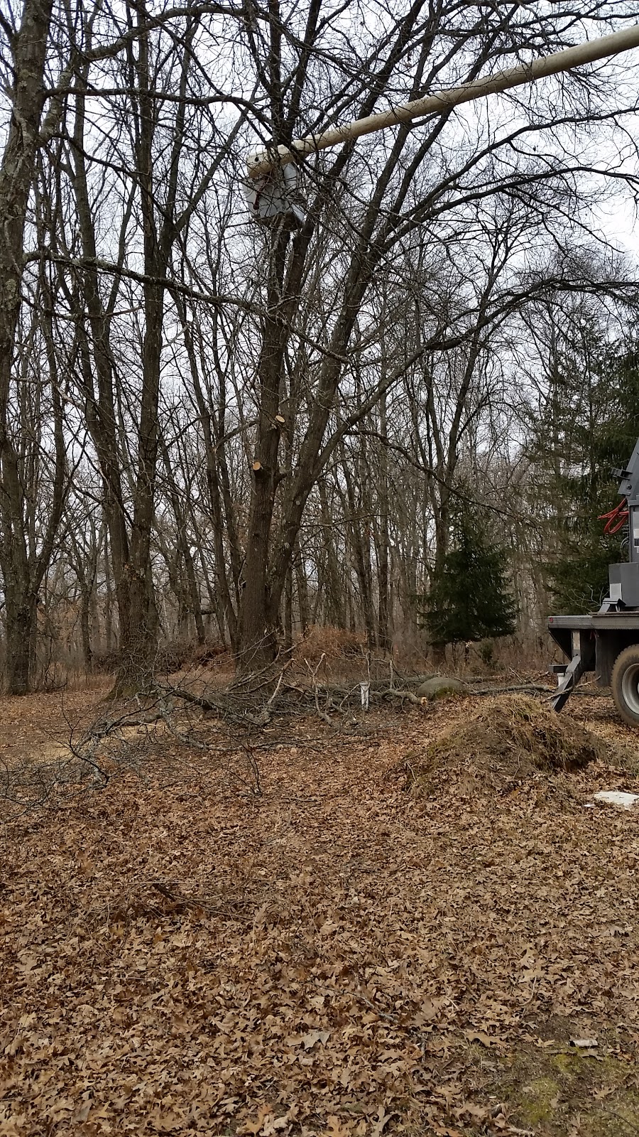 Oak Tree | restaurant | 567 Underwood Ave, Montello, WI 53949, USA | 6082979343 OR +1 608-297-9343