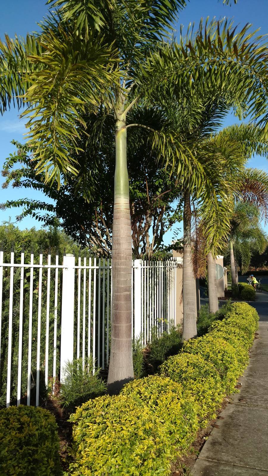 Feather Sound Country Club | restaurant | 2201 Feather Sound Dr, Clearwater, FL 33762, USA | 7275735666 OR +1 727-573-5666