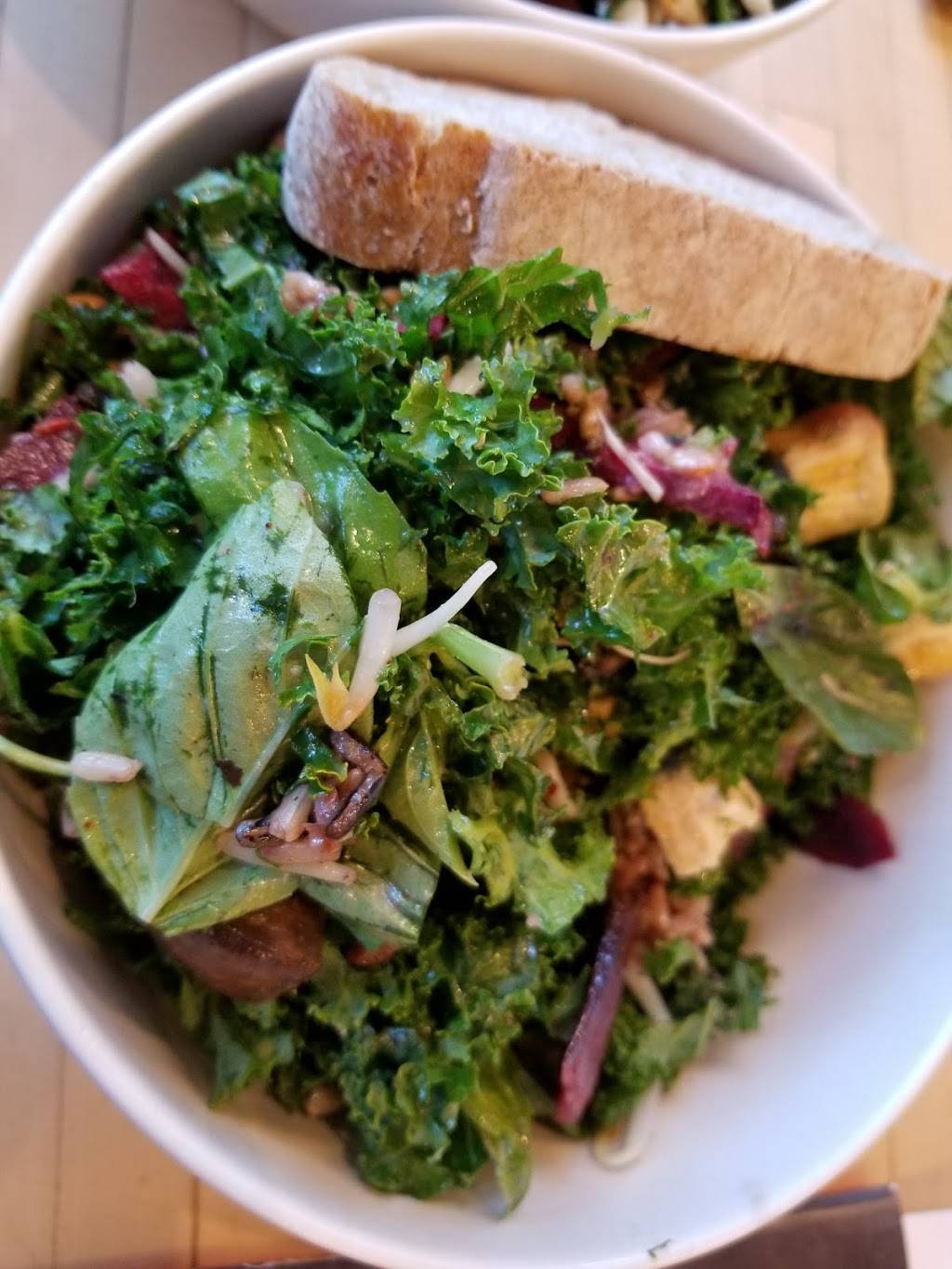 sweetgreen | restaurant | 8300 Baltimore Ave, College Park, MD 20740, USA | 2407704443 OR +1 240-770-4443