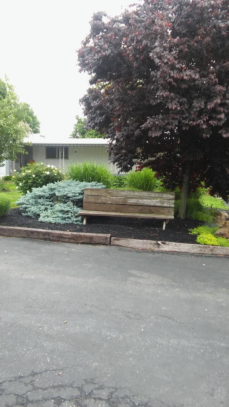 Norma Js Restaurant | restaurant | 2717 PA-309, Orefield, PA 18069, USA | 6103953664 OR +1 610-395-3664