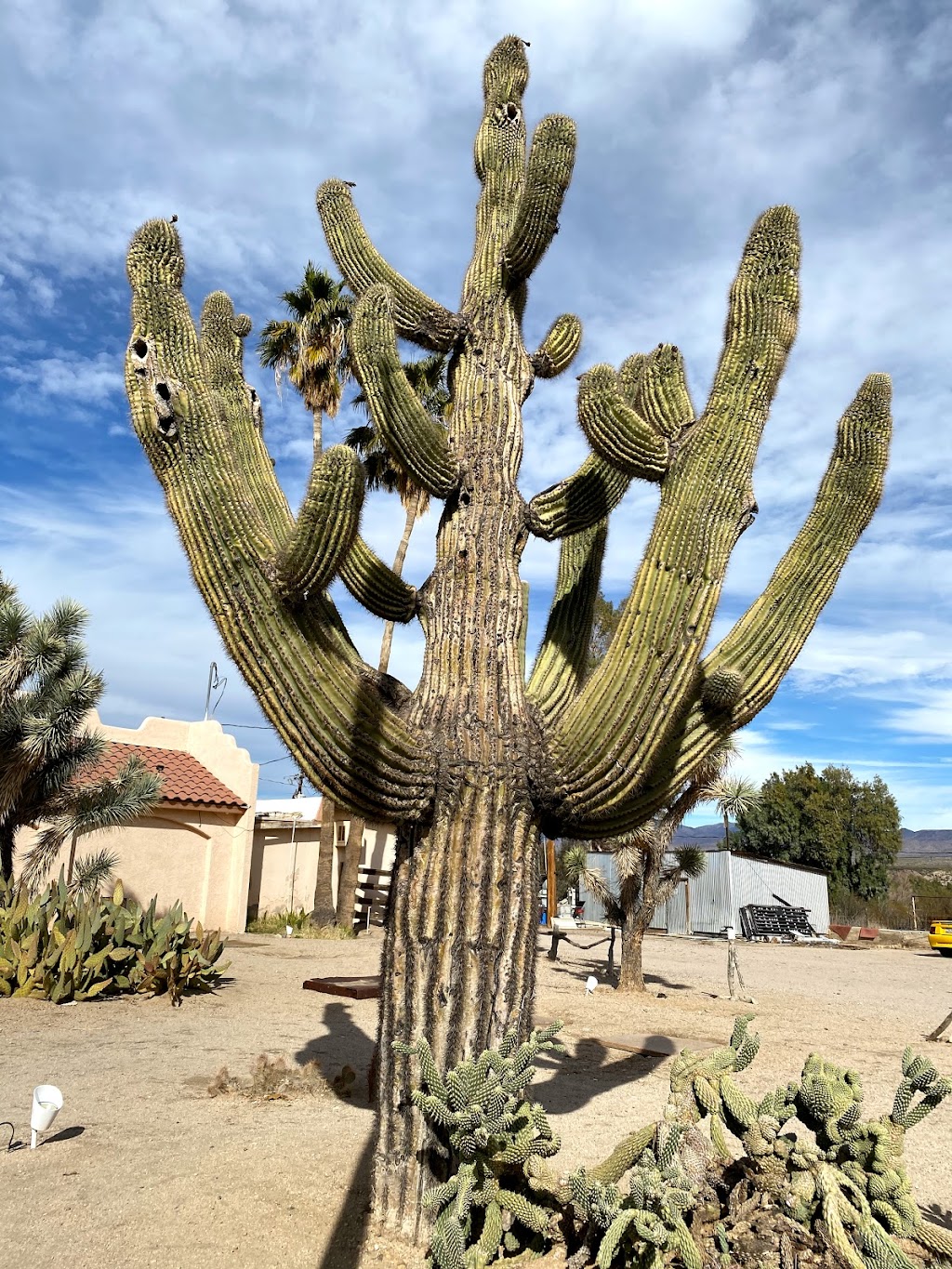Wikieup Trading Post and Restaurant | restaurant | 18040 US-93, Wikieup, AZ 85360, USA | 9287652241 OR +1 928-765-2241