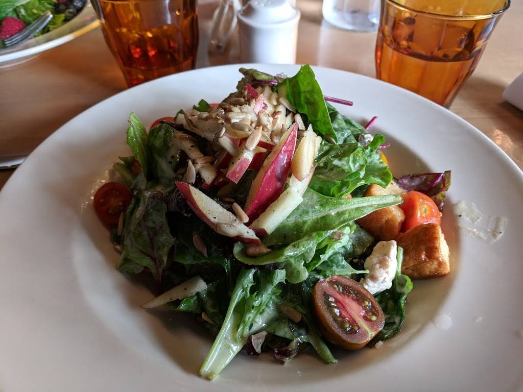 The VIG Chicago | restaurant | 1527 N Wells St, Chicago, IL 60610, USA | 3129822186 OR +1 312-982-2186