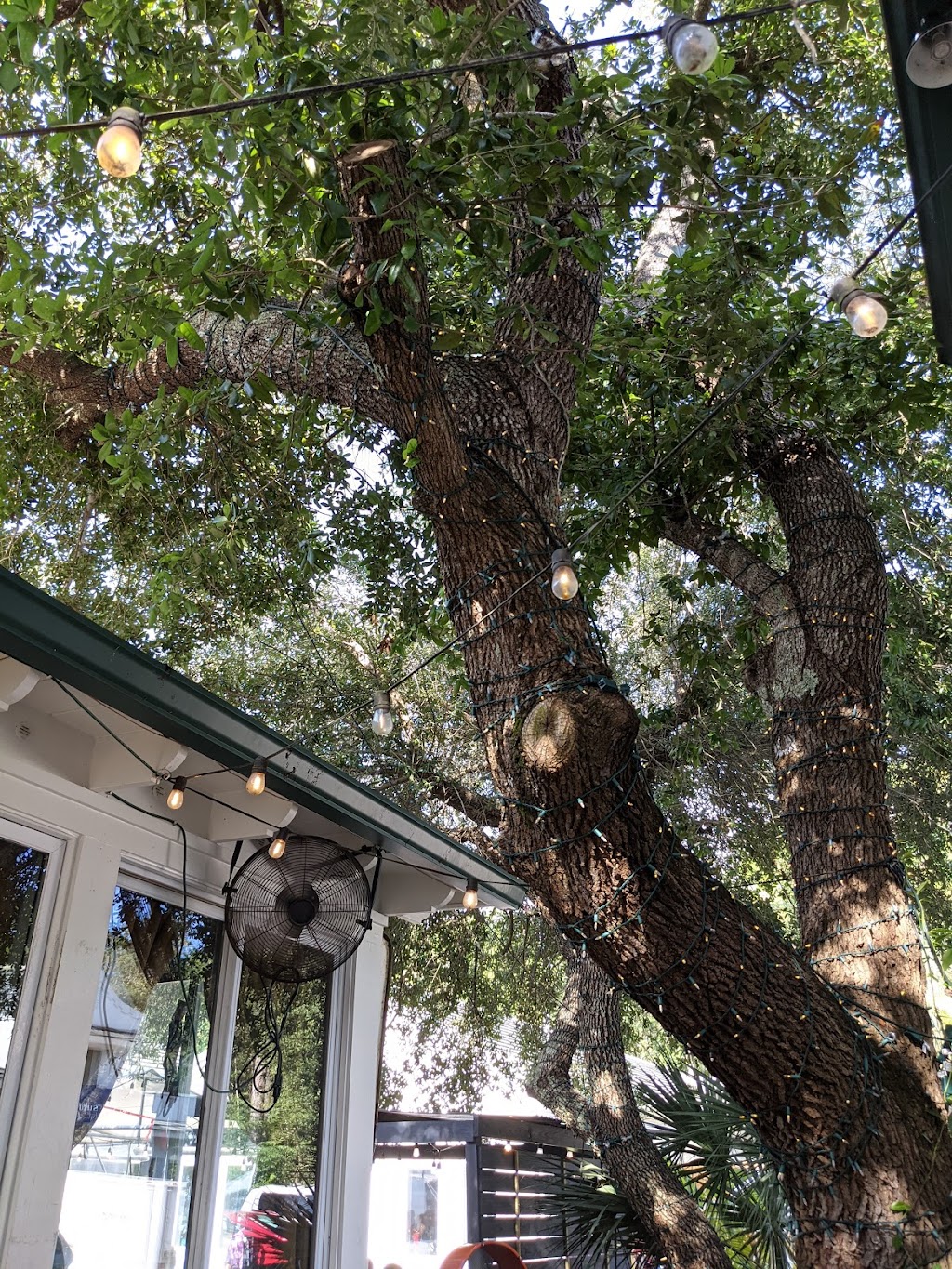 Grayton Seafood | restaurant | 50 Uptown Grayton Cir #1, Santa Rosa Beach, FL 32459, USA | 8507142155 OR +1 850-714-2155