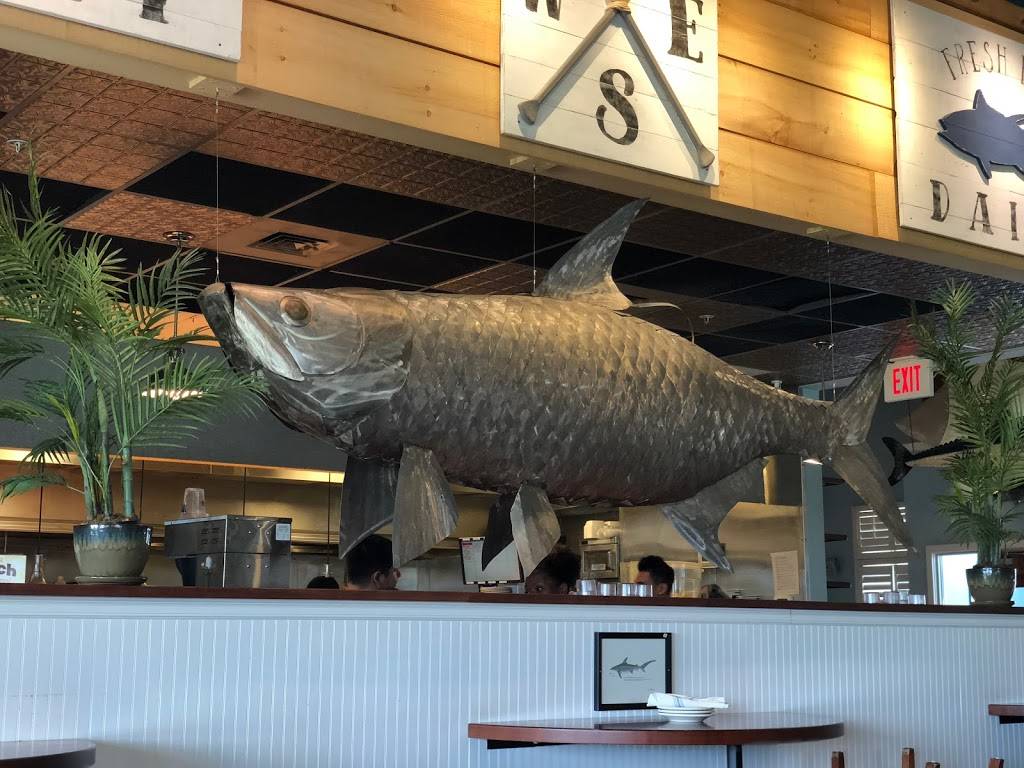 Big Fish Grill on the Riverfront | restaurant | 720 Justison St, Wilmington, DE 19801, USA | 3026523474 OR +1 302-652-3474