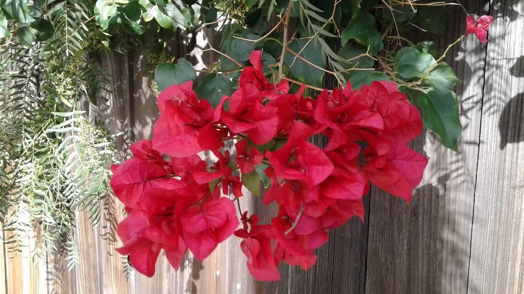 Carlas Bakery and Mexican Food | restaurant | 391 Moorpark Ave, Moorpark, CA 93021, USA | 8055300972 OR +1 805-530-0972