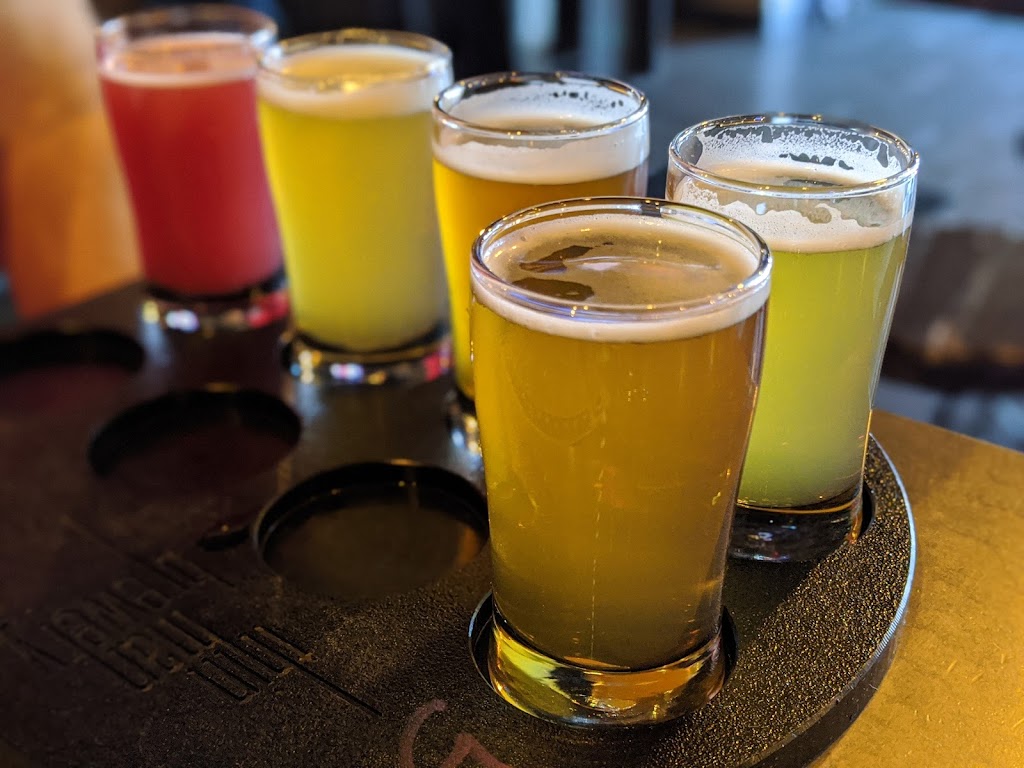 Thin Man Brewery | restaurant | 492 Elmwood Ave, Buffalo, NY 14222, USA | 7169234100 OR +1 716-923-4100