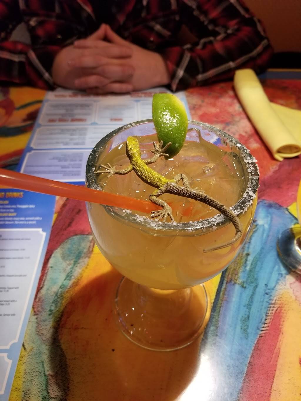 Jimmys Island Grill & Iguana Bar | restaurant | 2303 N Mayfair Rd, Wauwatosa, WI 53226, USA | 4148372121 OR +1 414-837-2121