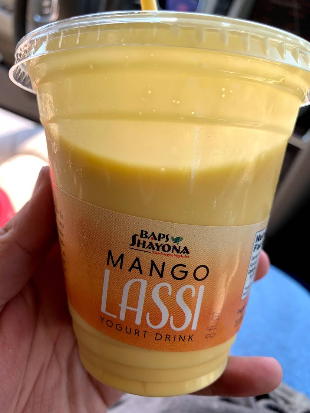 Shayona Café | restaurant | 460 Rockbridge Rd NW, Lilburn, GA 30047, USA | 6789062277 OR +1 678-906-2277