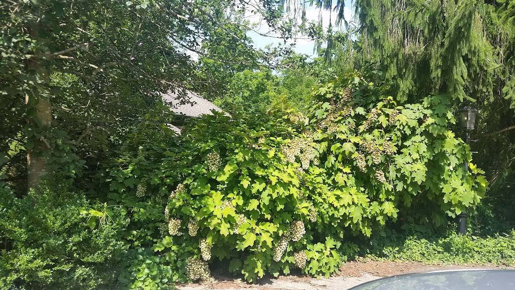 Shadowbrook | restaurant | 5397 Rawlings Rd, Joelton, TN 37080, USA | 6158760700 OR +1 615-876-0700