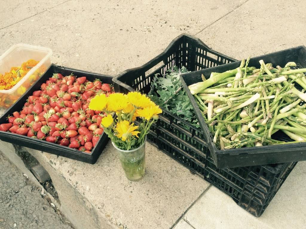 Rosebuds Cafe | cafe | 26 Main St, Jackson, CA 95642, USA | 2092570227 OR +1 209-257-0227