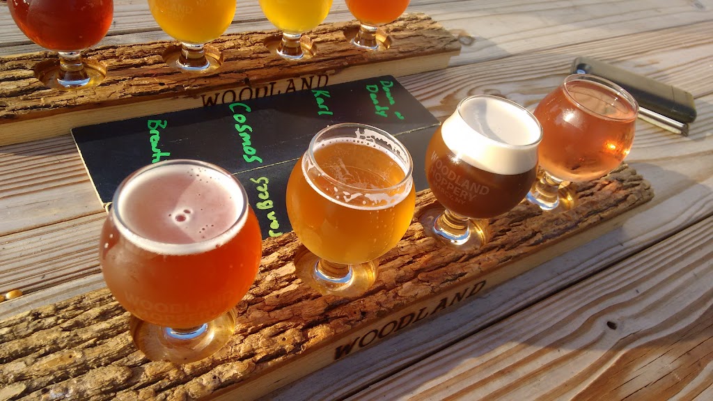 Woodland Farm Brewery | restaurant | 6002 Trenton Rd, Utica, NY 13502, USA | 3158643051 OR +1 315-864-3051