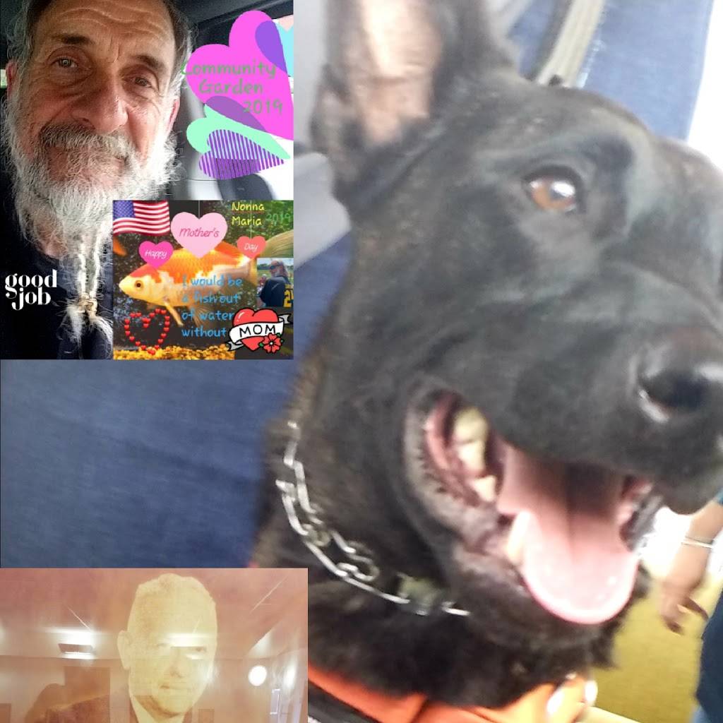 Hilltop Restaurant | restaurant | 3132 Shenandoah Ave NW, Roanoke, VA 24017, USA | 5403444404 OR +1 540-344-4404