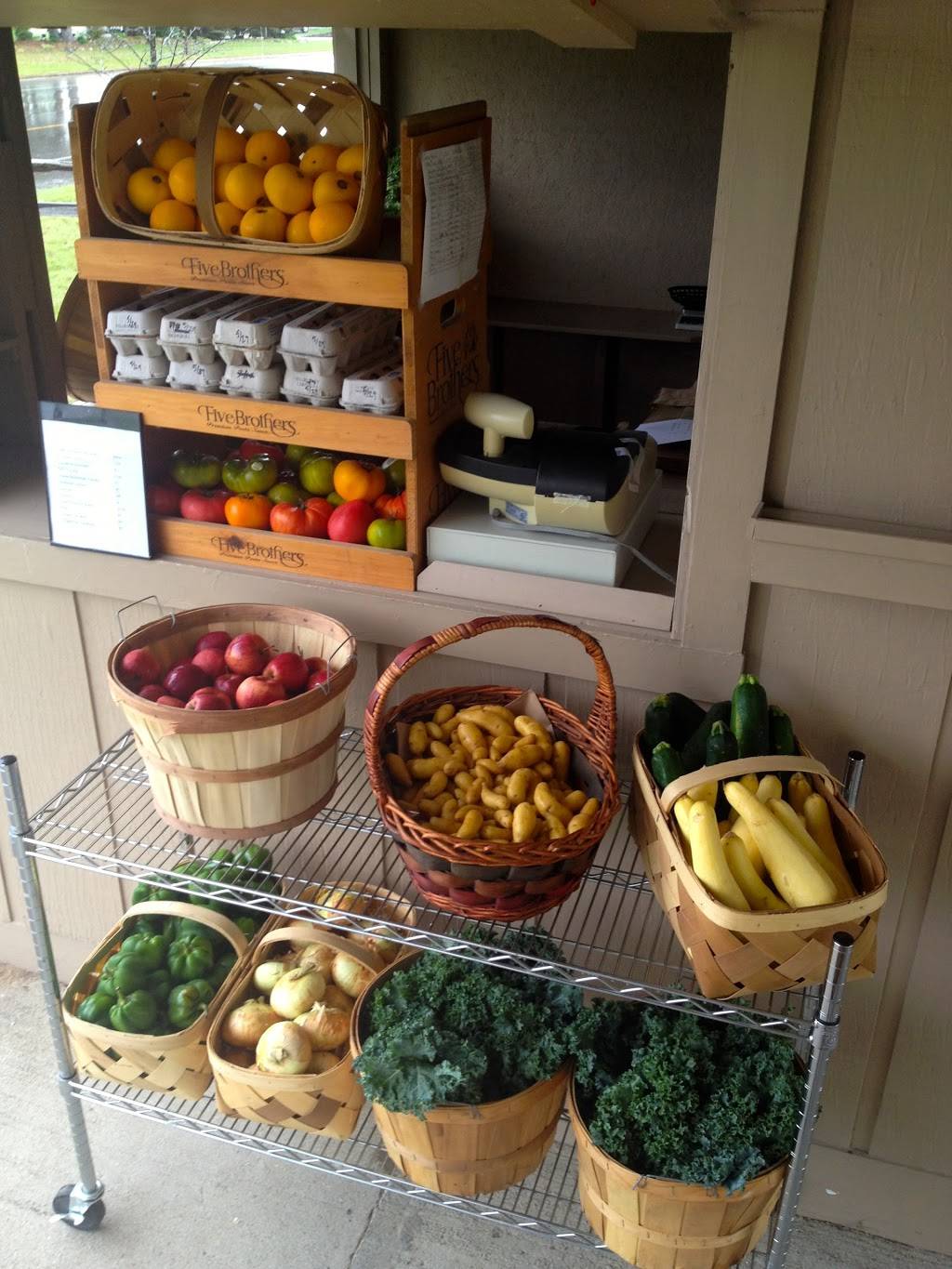 The Hippie Dip | meal delivery | 4632 Salling Ave, Lewiston, MI 49756, USA | 9898586496 OR +1 989-858-6496