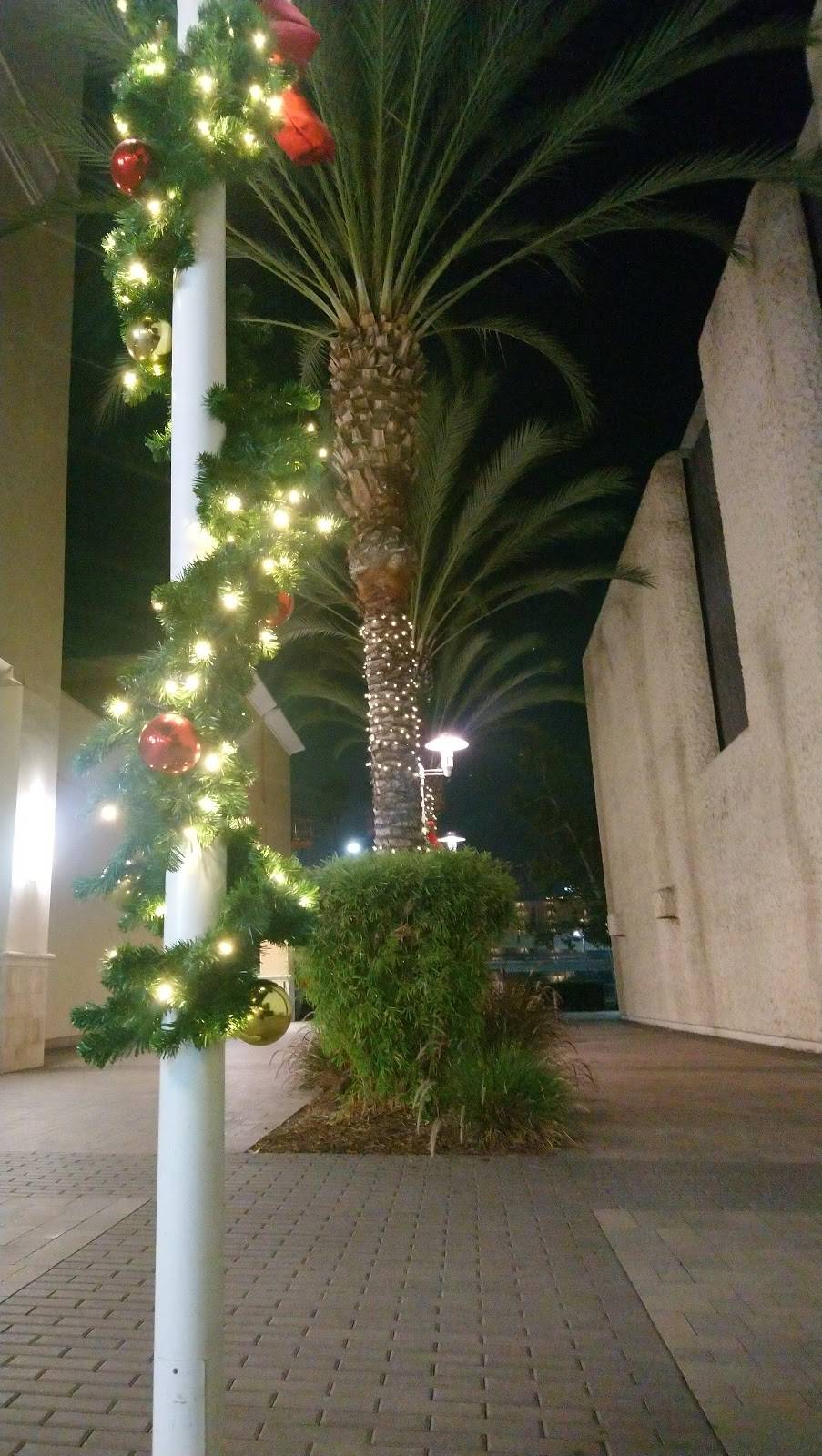 Terrace Tap | restaurant | 7007 Friars Rd, San Diego, CA 92108, USA | 6197487455 OR +1 619-748-7455