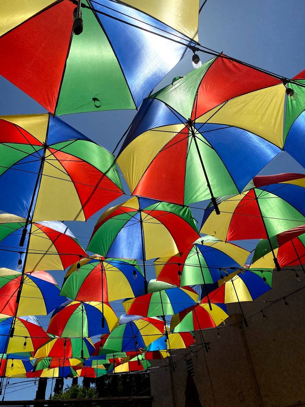 Allegra California Cafe | restaurant | 4437 Sepulveda Blvd, Culver City, CA 90230, USA | 4245002700 OR +1 424-500-2700