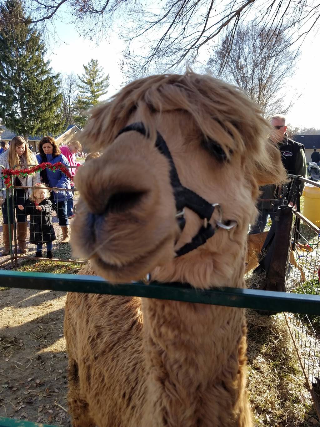 Broadway Barrel House | restaurant | 402 N Broadway St, Lebanon, OH 45036, USA | 5139347799 OR +1 513-934-7799