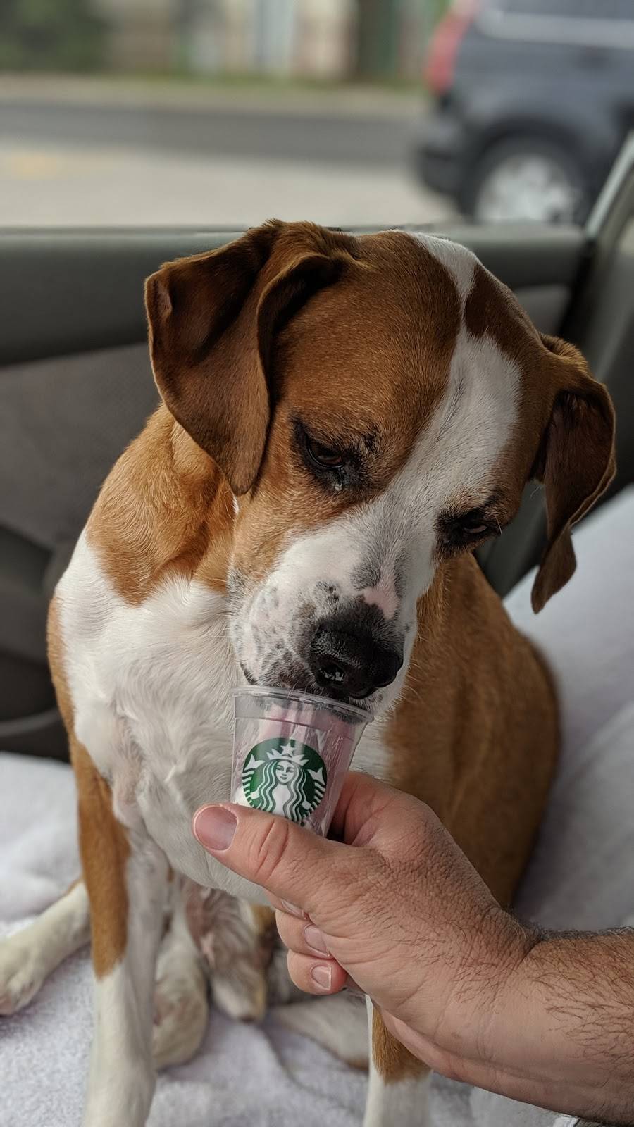 Starbucks | cafe | 1147 N Eola Rd #101, Aurora, IL 60502, USA | 6304995330 OR +1 630-499-5330