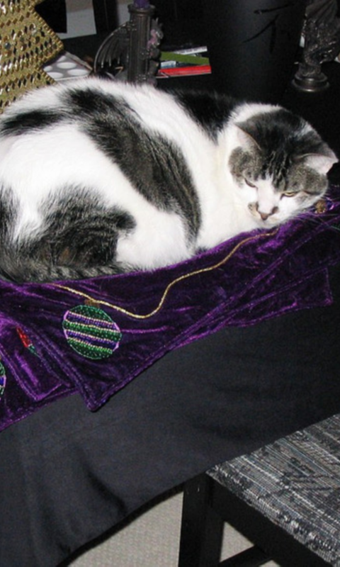 Subway | restaurant | 1870 Jonesboro Rd, McDonough, GA 30253, USA | 6785831566 OR +1 678-583-1566