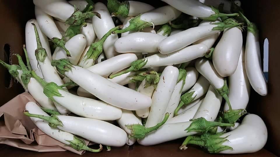 Seafane LLC سيفين المصري | restaurant | 115 E St Georges Ave, Roselle, NJ 07203, USA | 9082451150 OR +1 908-245-1150