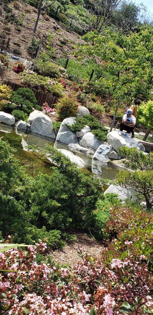 Starbucks | cafe | 2440 Fifth Ave, San Diego, CA 92101, USA | 6197022113 OR +1 619-702-2113