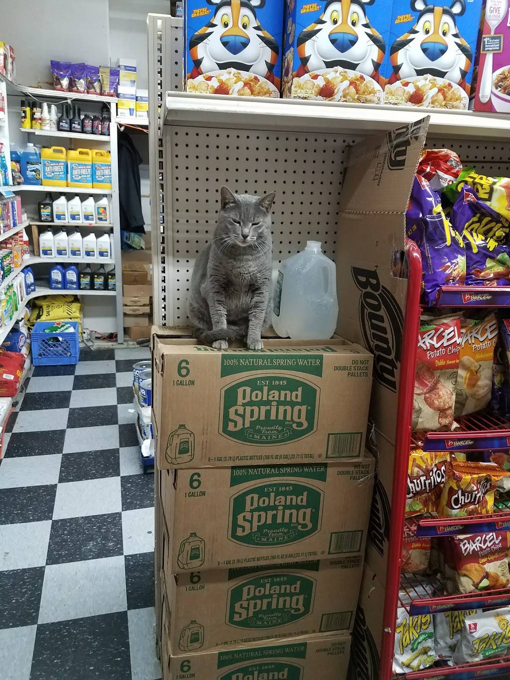 Papa Johns Pizza | restaurant | 4304 National St, Corona, NY 11368, USA | 7186723773 OR +1 718-672-3773