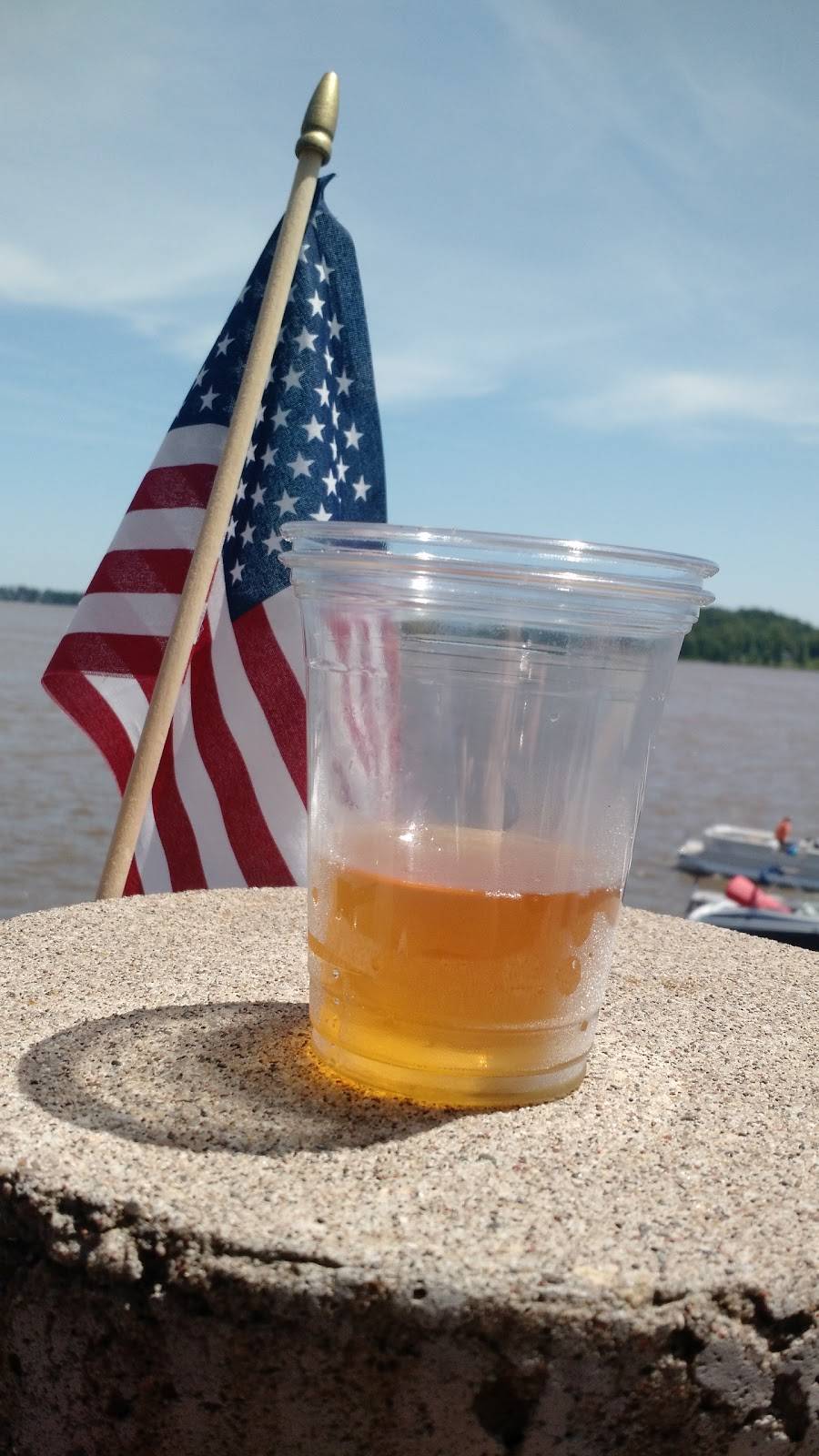 Go Fish Marina Bar & Grill | restaurant | 411 River Dr, Princeton, IA 52768, USA | 5632893908 OR +1 563-289-3908