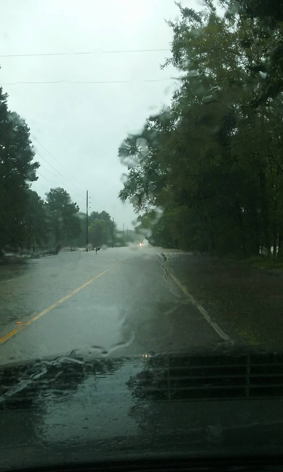 Piney Woods Mart | restaurant | 11845 Calvary Rd, Willis, TX 77318, USA | 9367014090 OR +1 936-701-4090