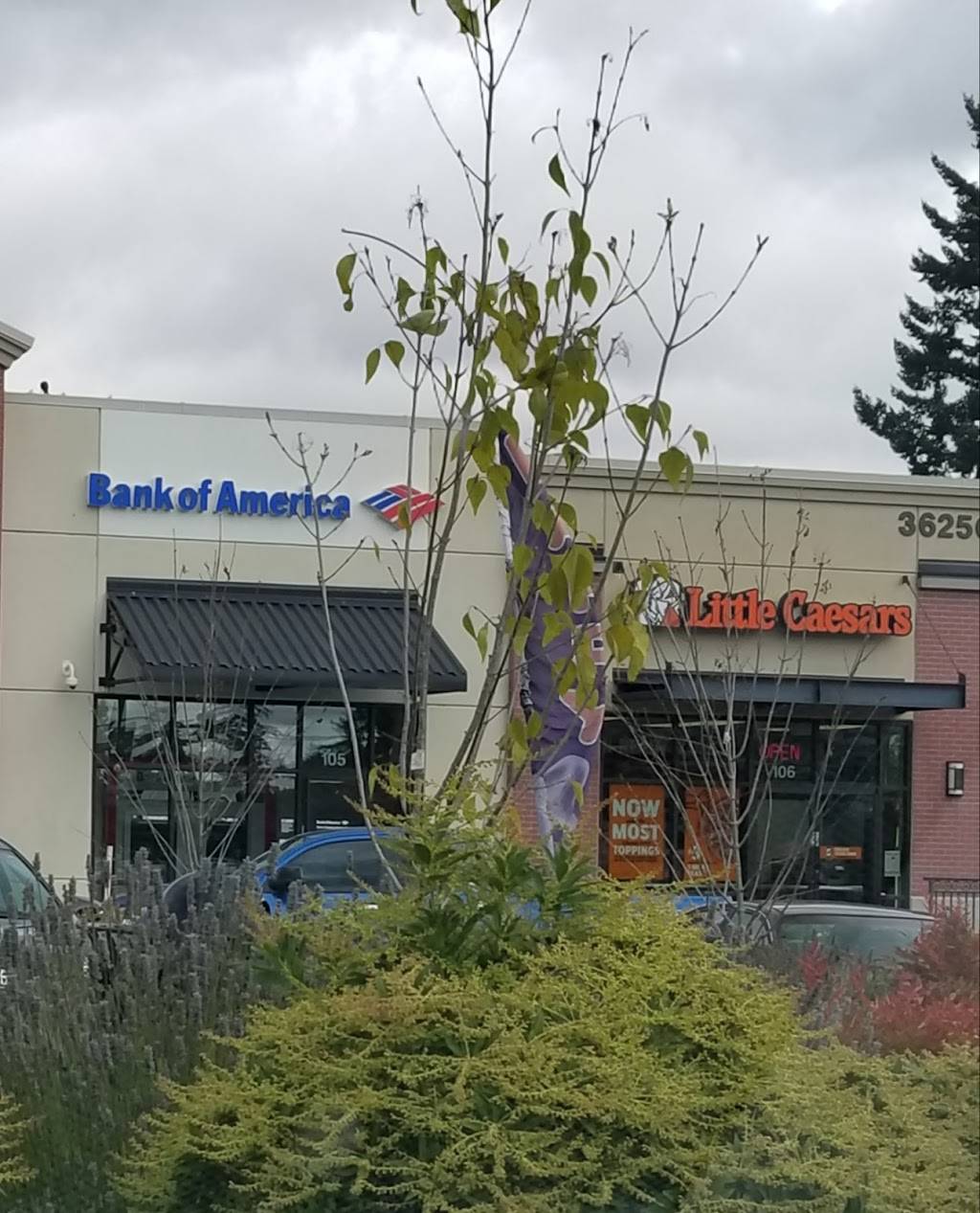 Little Caesars Pizza | meal takeaway | 3625-C 148th St SW, Lynnwood, WA 98087, USA | 4257457711 OR +1 425-745-7711