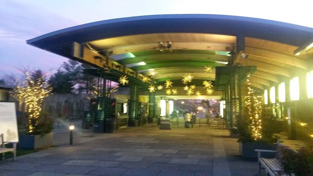 The Pine Tree Cafe | cafe | Leon Levy Visitor Center, NY Botanical Garden, 2900 Southern Blvd, Bronx, NY 10458, USA | 7188178700 OR +1 718-817-8700